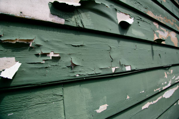 Best Residential Vinyl Siding Installation  in Ship Bottom, NJ