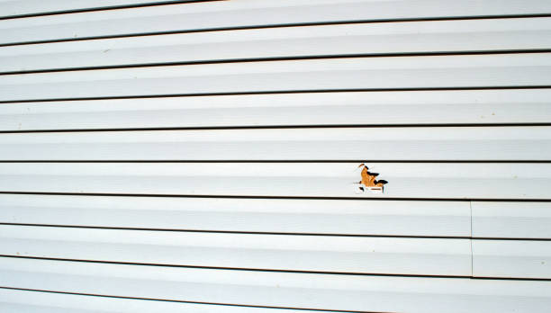 Siding for Multi-Family Homes in Ship Bottom, NJ