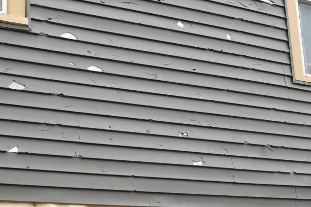 Best Siding Removal and Disposal  in Ship Bottom, NJ