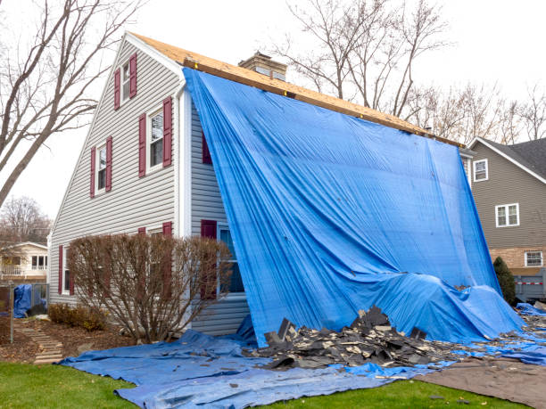 Best Brick Veneer Siding  in Ship Bottom, NJ
