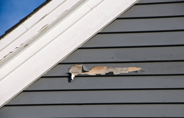 Best Steel Siding Installation  in Ship Bottom, NJ