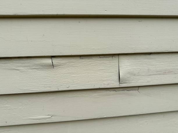 Affordable siding repair and maintenance services in Ship Bottom, NJ